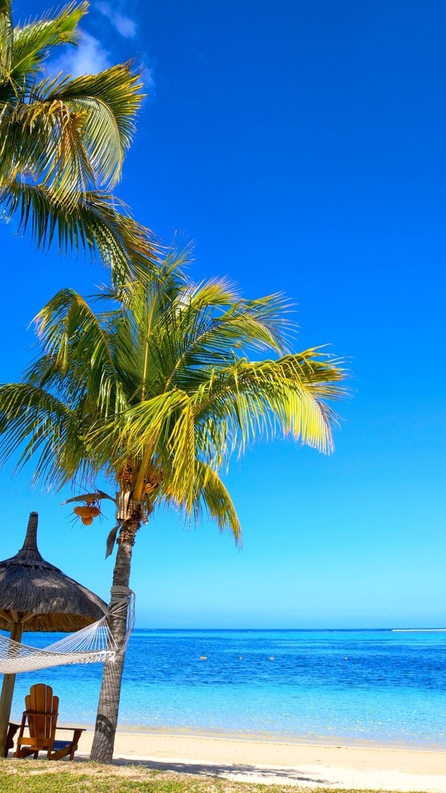 Paradise Palm Beach  for 640 x 1136 iPhone 5 resolution