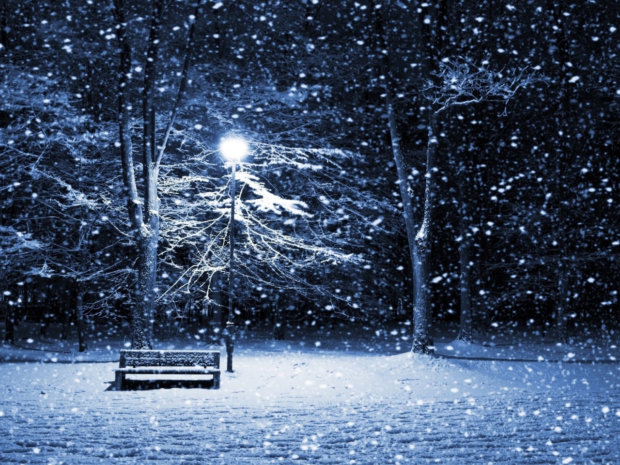 Park Full of Snow for 1280 x 960 resolution