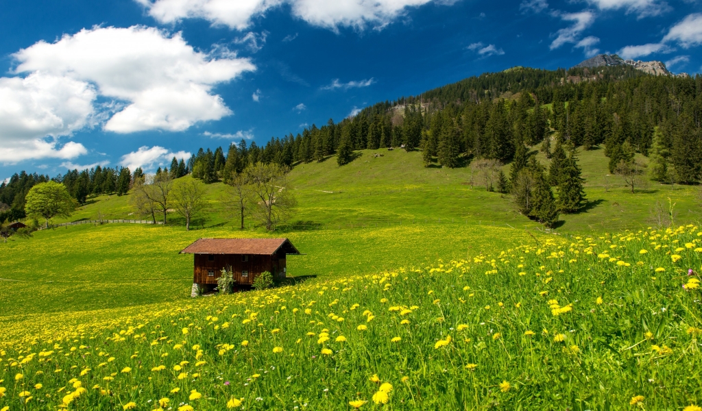 Pasture in the Bavarian Alp for 1024 x 600 widescreen resolution