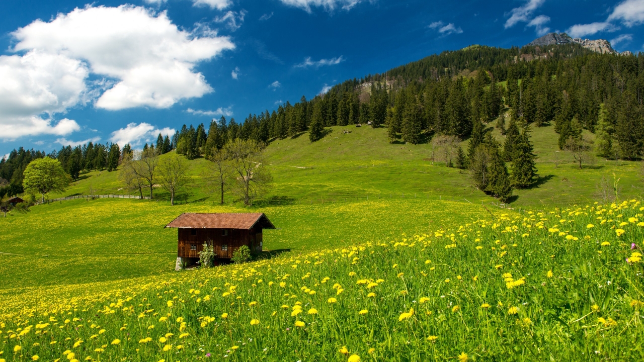 Pasture in the Bavarian Alp for 1280 x 720 HDTV 720p resolution