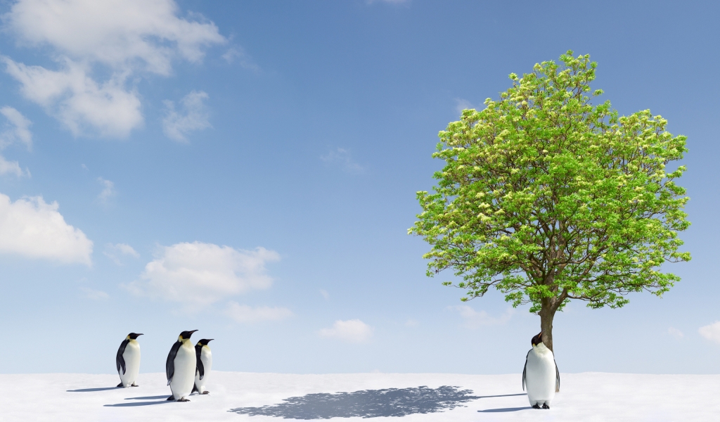 Penguins and Green Tree for 1024 x 600 widescreen resolution