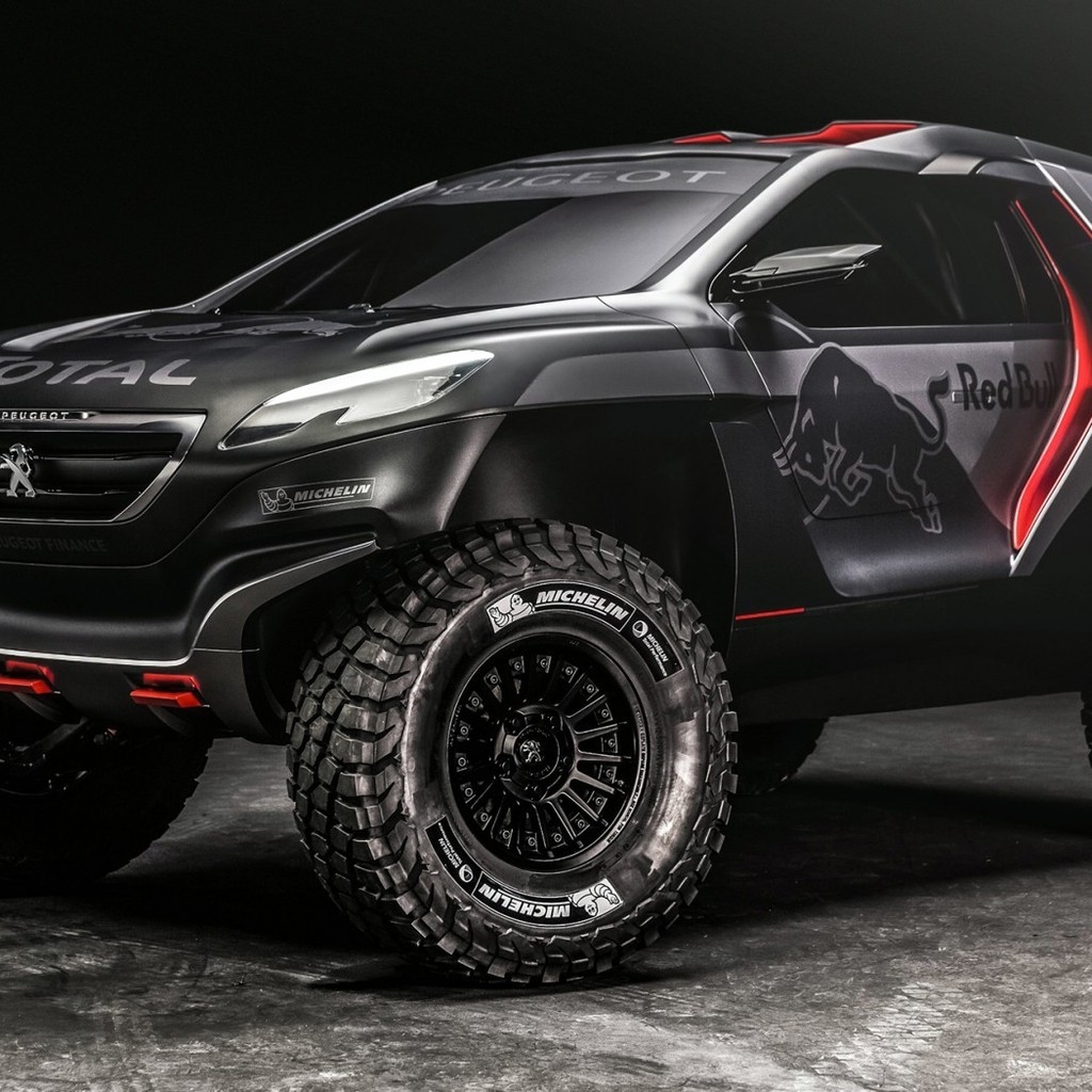 Peugeot DKR 2008 for 1024 x 1024 iPad resolution