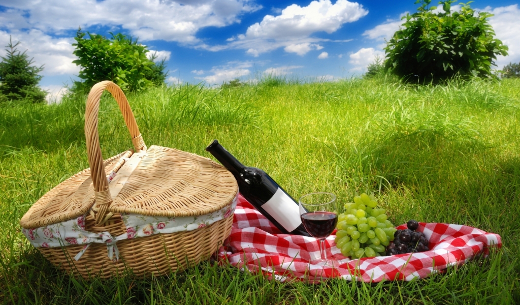 Picnic for 1024 x 600 widescreen resolution