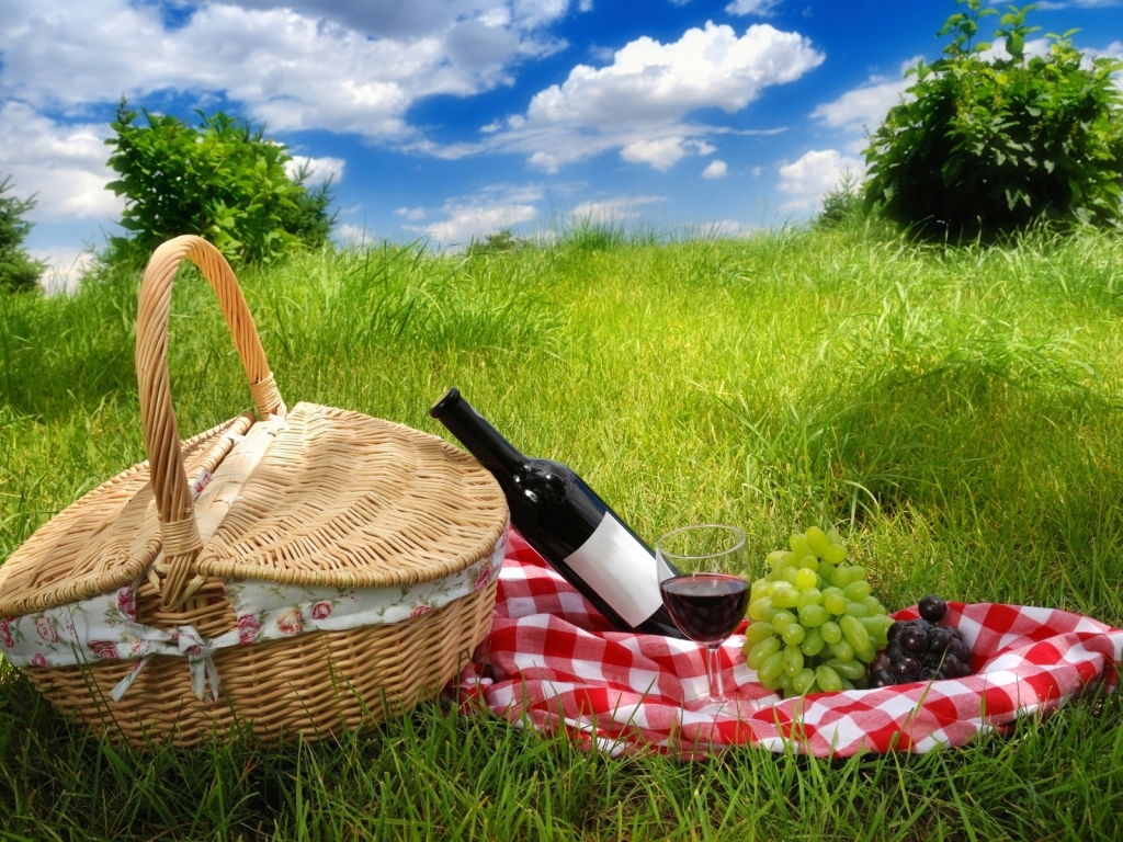 Picnic for 1024 x 768 resolution