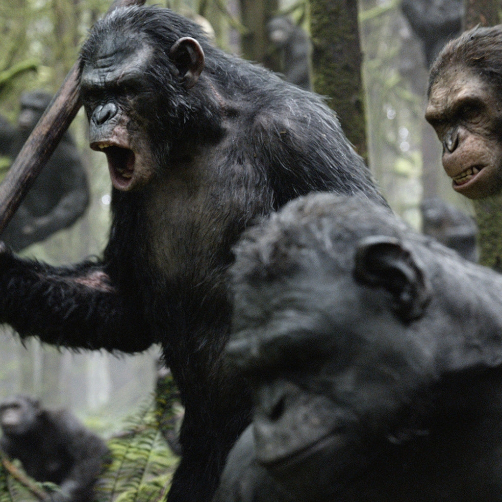 Планета обезьян революция 2014 субтитры обезьян. Обезьяна против обезьяны.