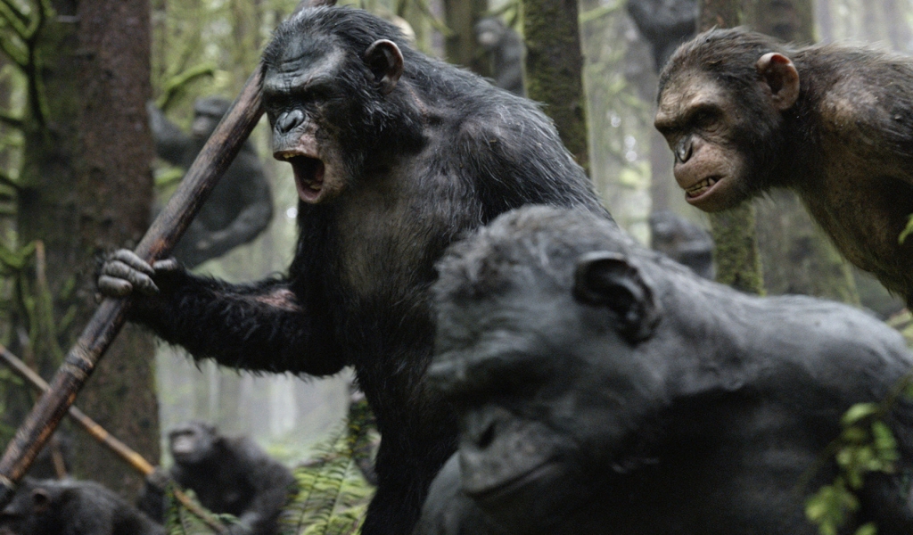 Planet of the Apes for 1024 x 600 widescreen resolution