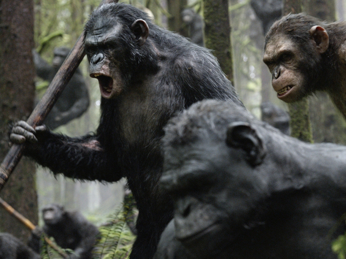 Planet of the Apes for 1152 x 864 resolution
