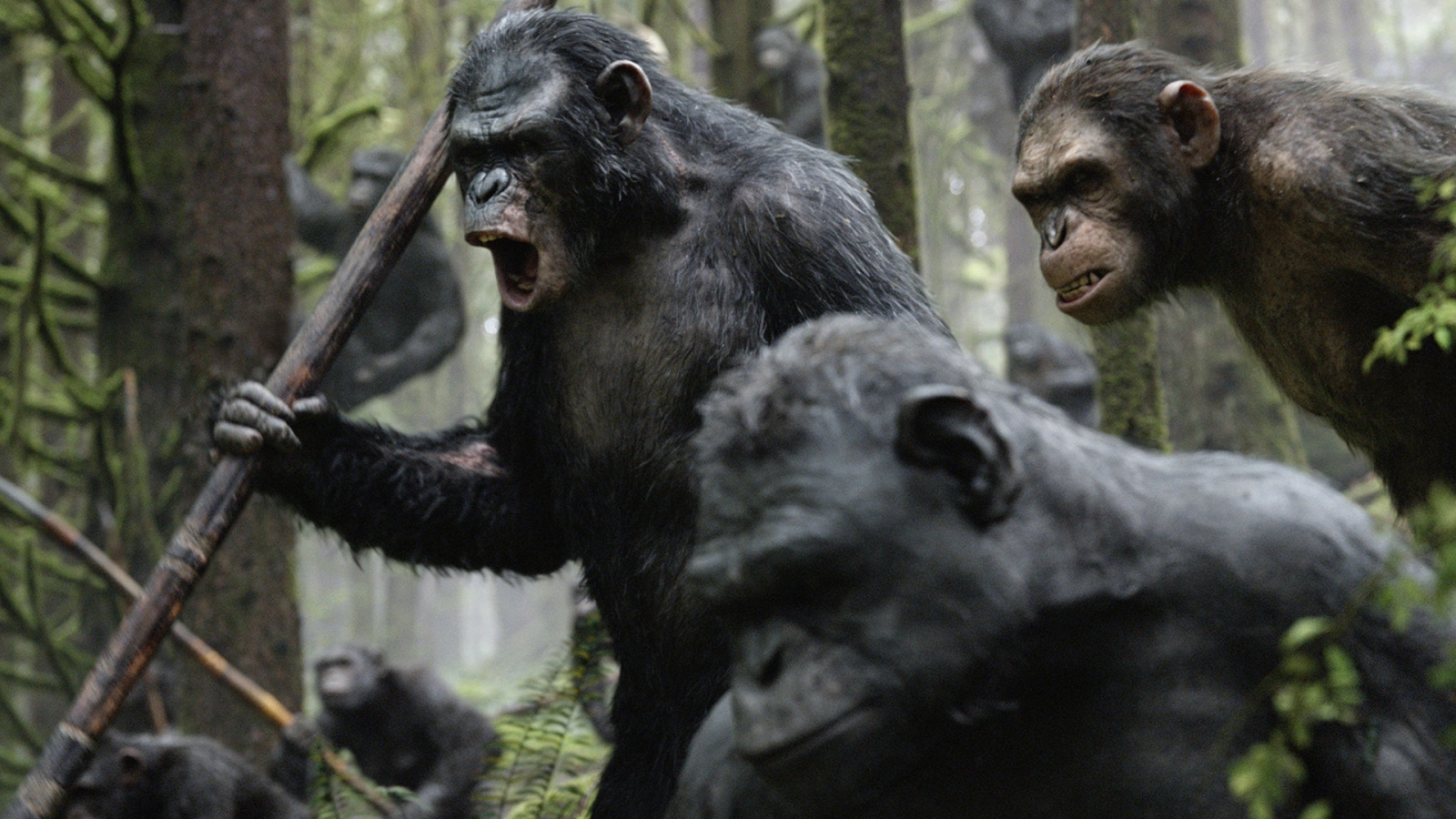 Planet of the Apes for 1600 x 900 HDTV resolution