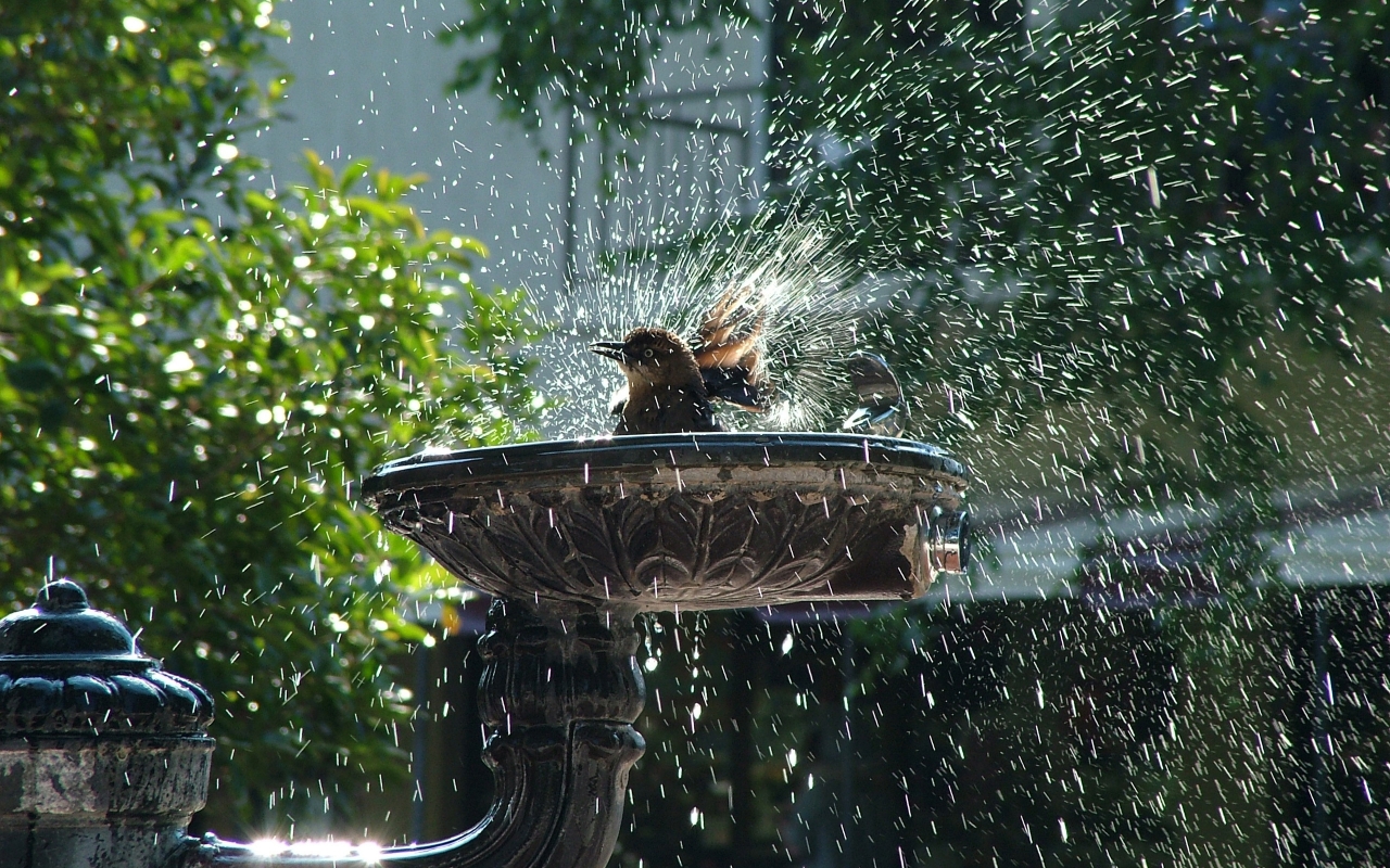 Playing with water for 1280 x 800 widescreen resolution