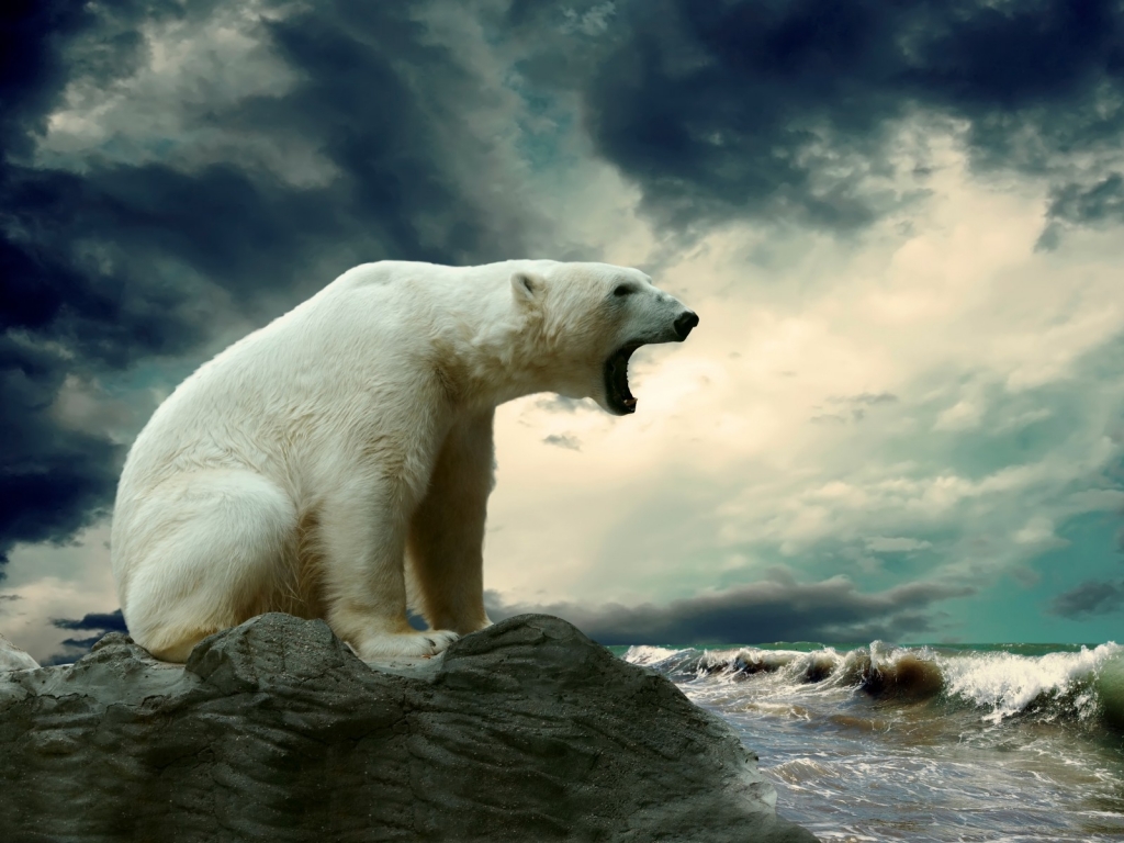 Polar Bear Shouting for 1024 x 768 resolution
