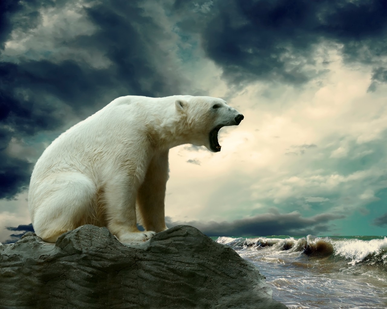 Polar Bear Shouting for 1280 x 1024 resolution