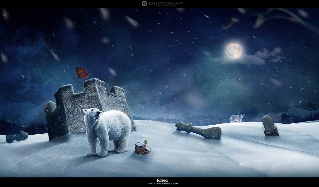 Polar king for 1024 x 600 widescreen resolution