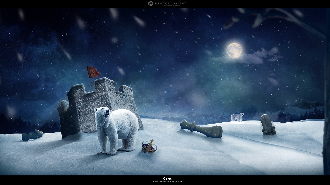 Polar king for 1280 x 720 HDTV 720p resolution