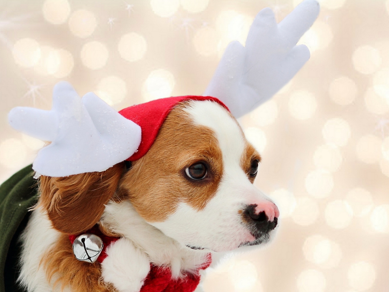 Puppy Reindeer for 1280 x 960 resolution