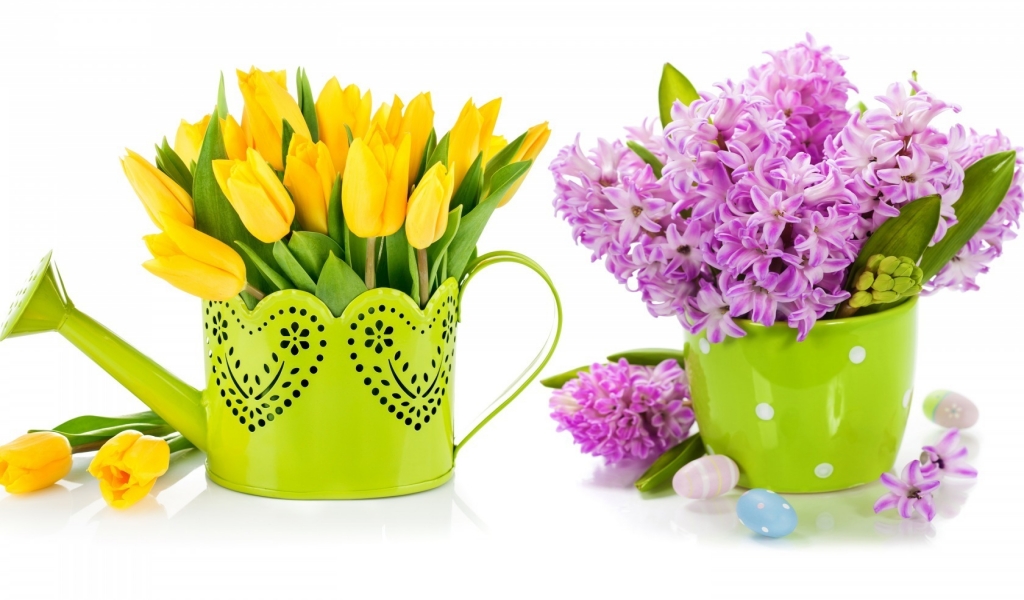 Purple Lilac and Yellow Tulips for 1024 x 600 widescreen resolution