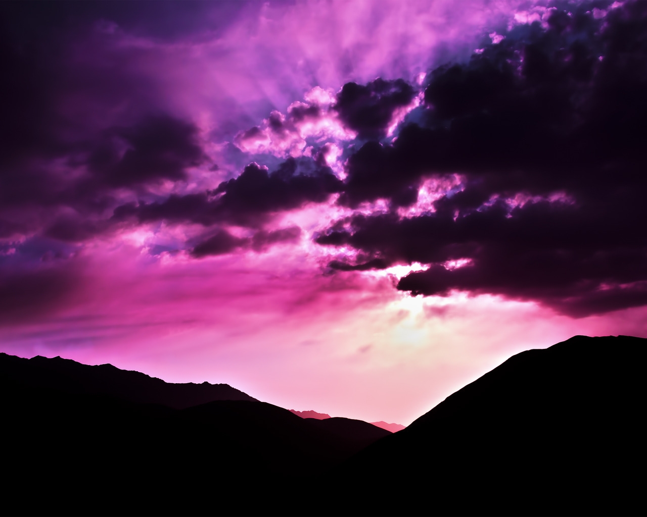 Purple Morning for 1280 x 1024 resolution