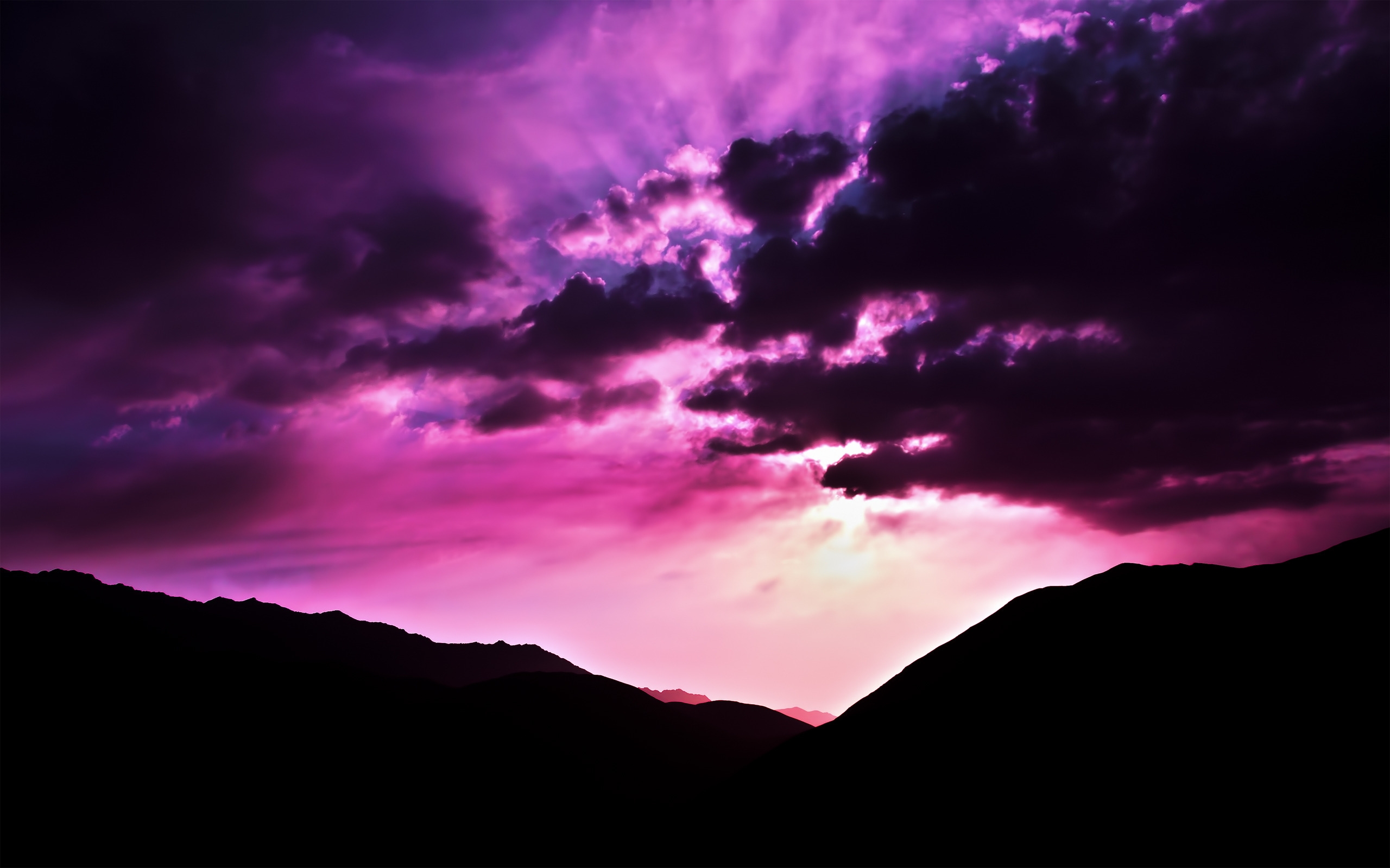 Purple Morning for 2560 x 1600 widescreen resolution