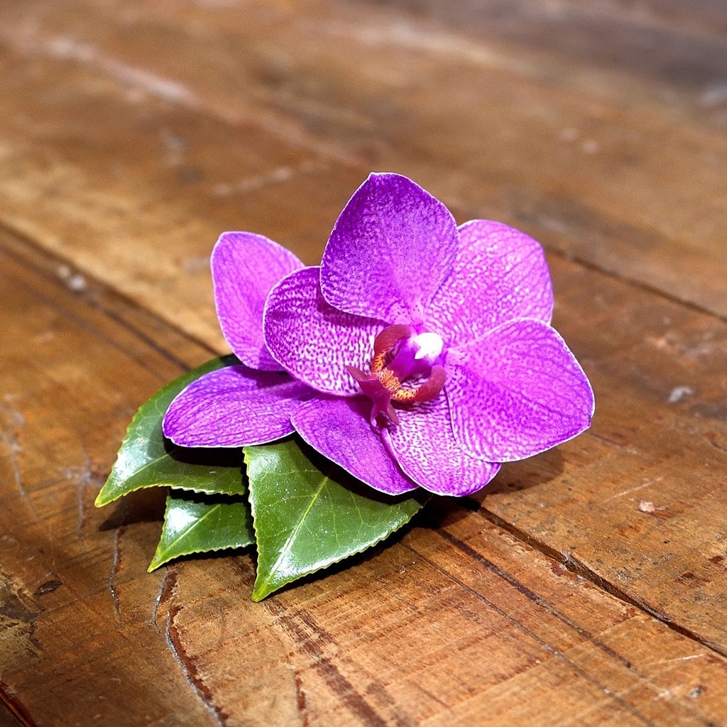 Purple Orchid for 1024 x 1024 iPad resolution