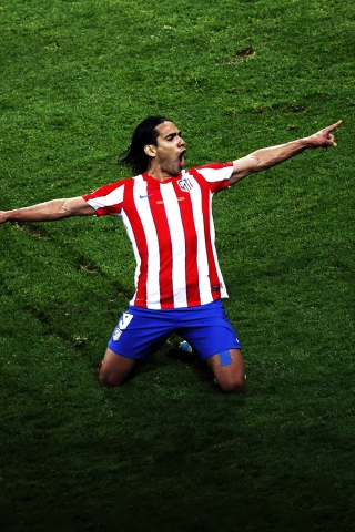 Radamel Falcao Garcia for 320 x 480 iPhone resolution