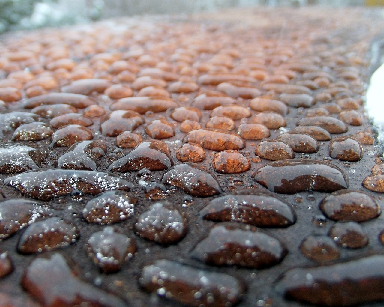 Rain Water Droplets for 1280 x 1024 resolution