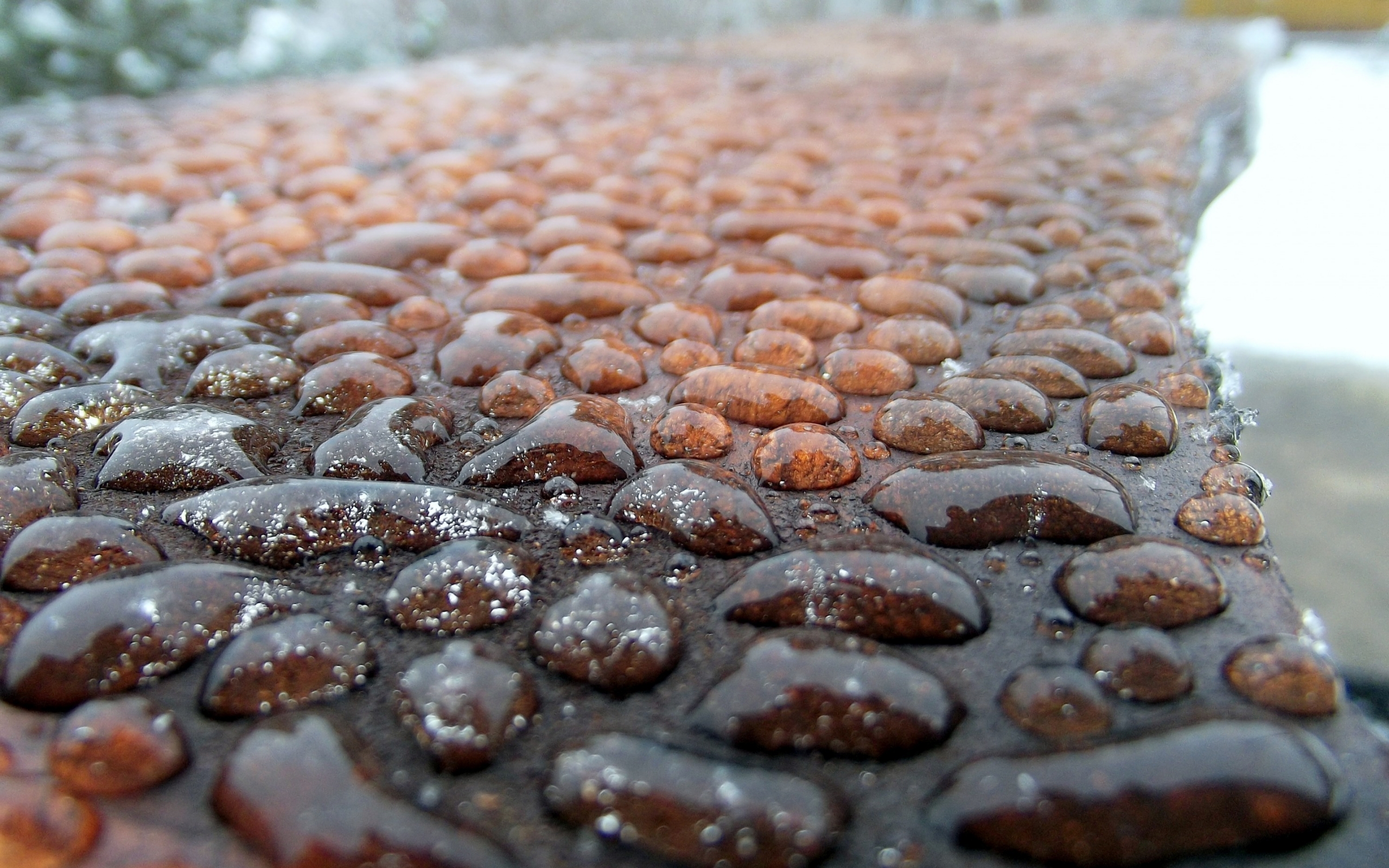 Rain Water Droplets for 2560 x 1600 widescreen resolution