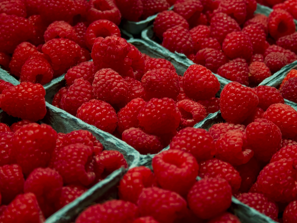 Raspberries  for 1024 x 768 resolution