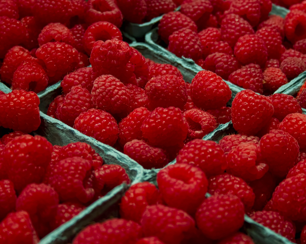 Raspberries  for 1280 x 1024 resolution