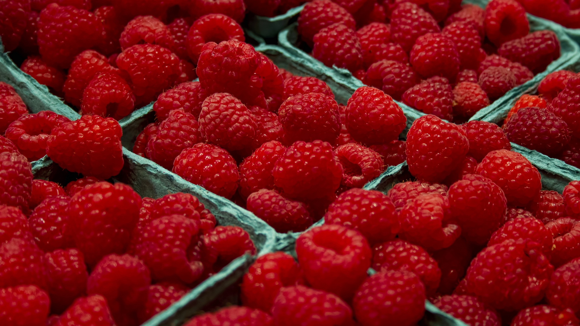 Raspberries  for 1920 x 1080 HDTV 1080p resolution