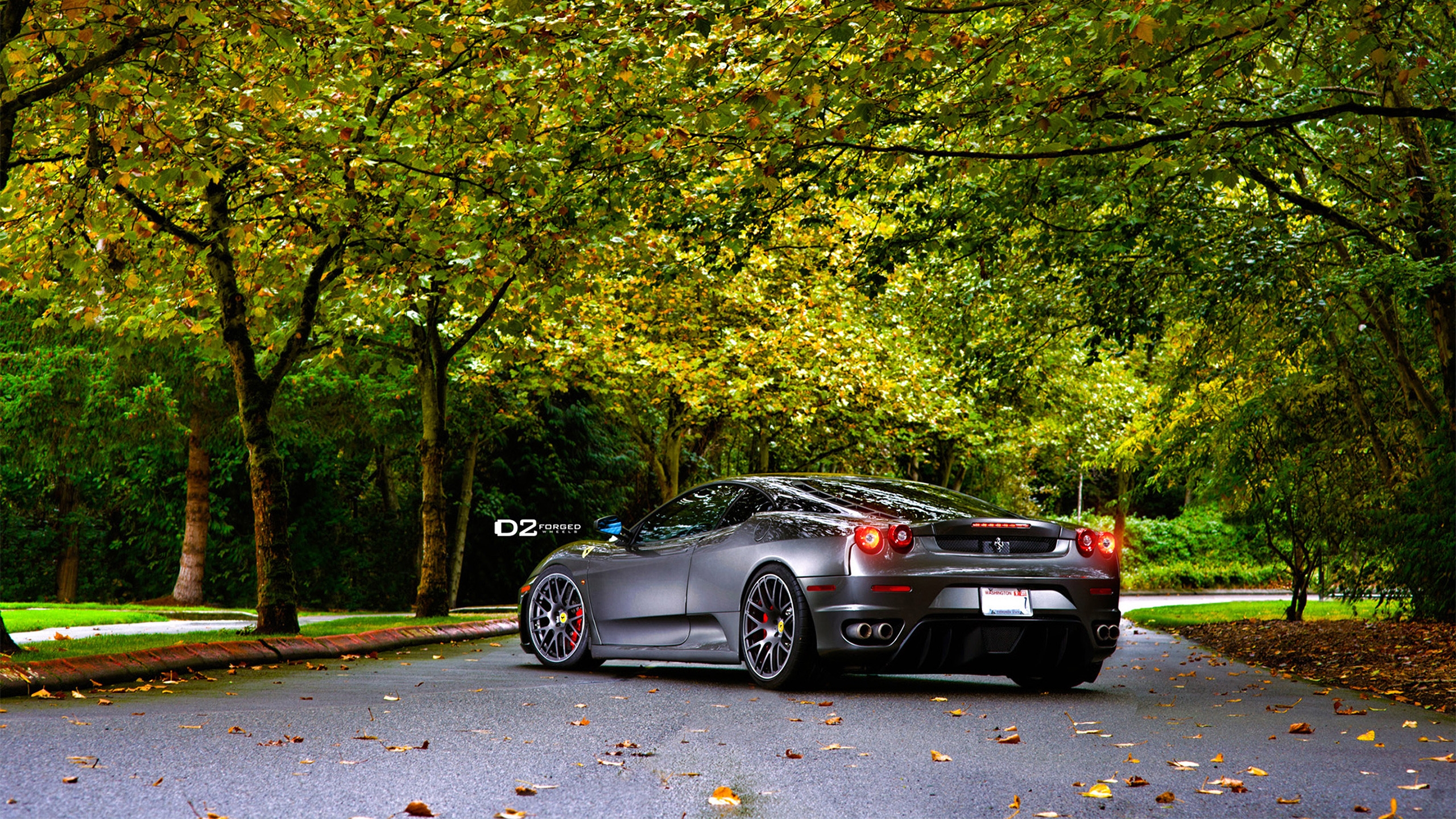 Rear of D2Forged Ferrari F430 for 2560x1440 HDTV resolution
