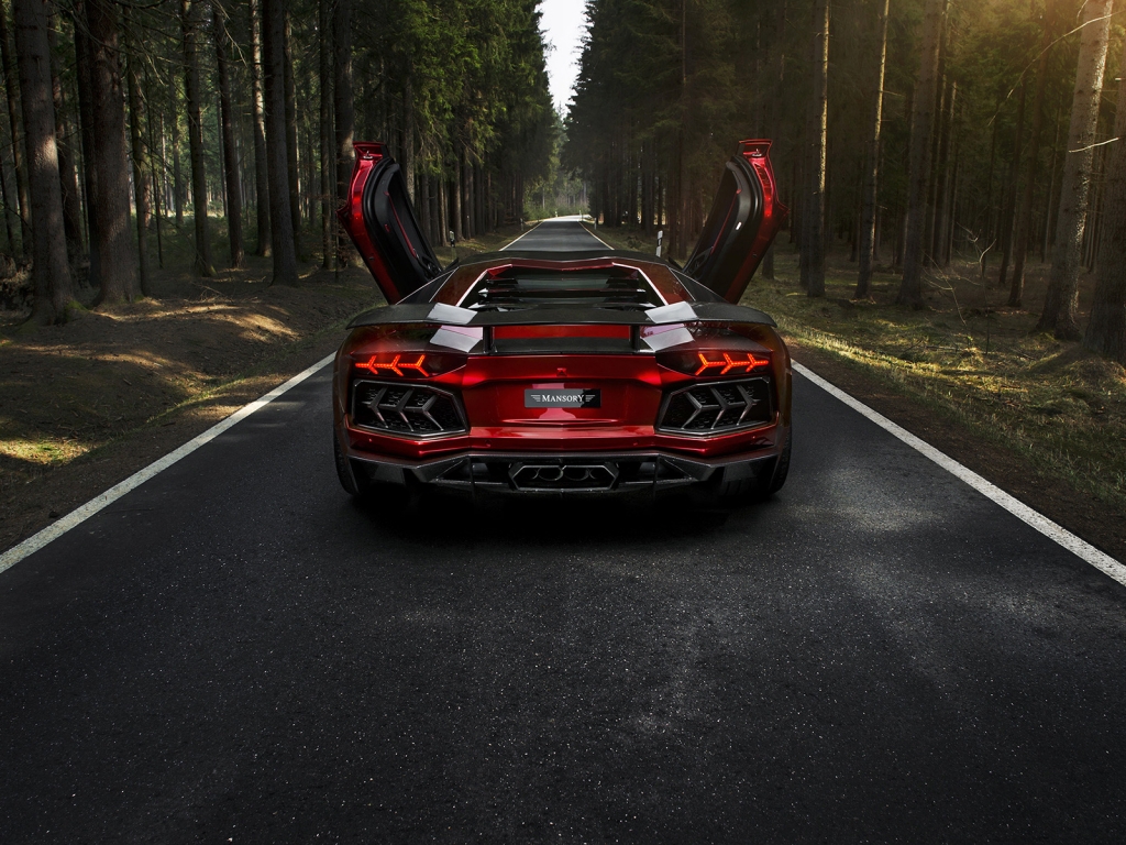Rear of Mansory Aventador LP700 for 1024 x 768 resolution