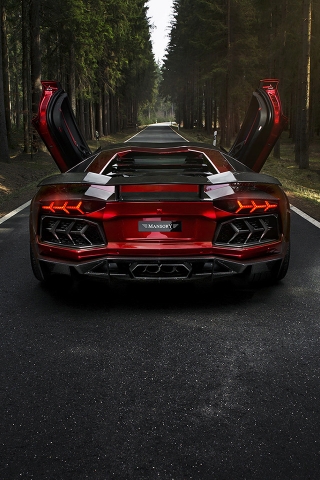 Rear of Mansory Aventador LP700 for 320 x 480 iPhone resolution