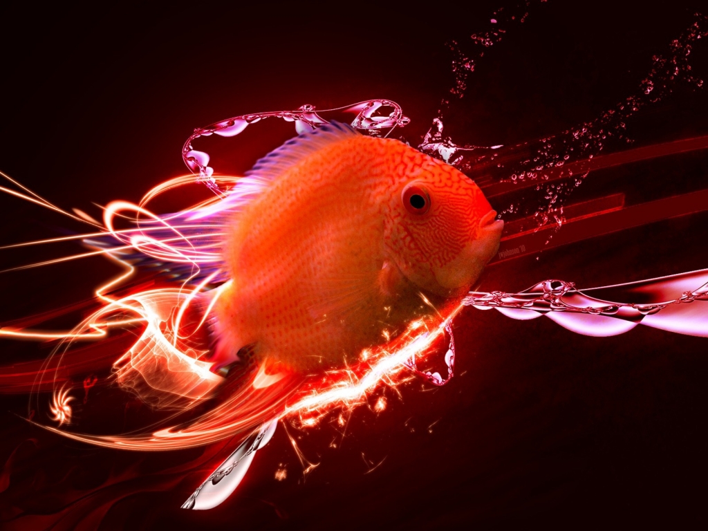 Red fish for 1024 x 768 resolution
