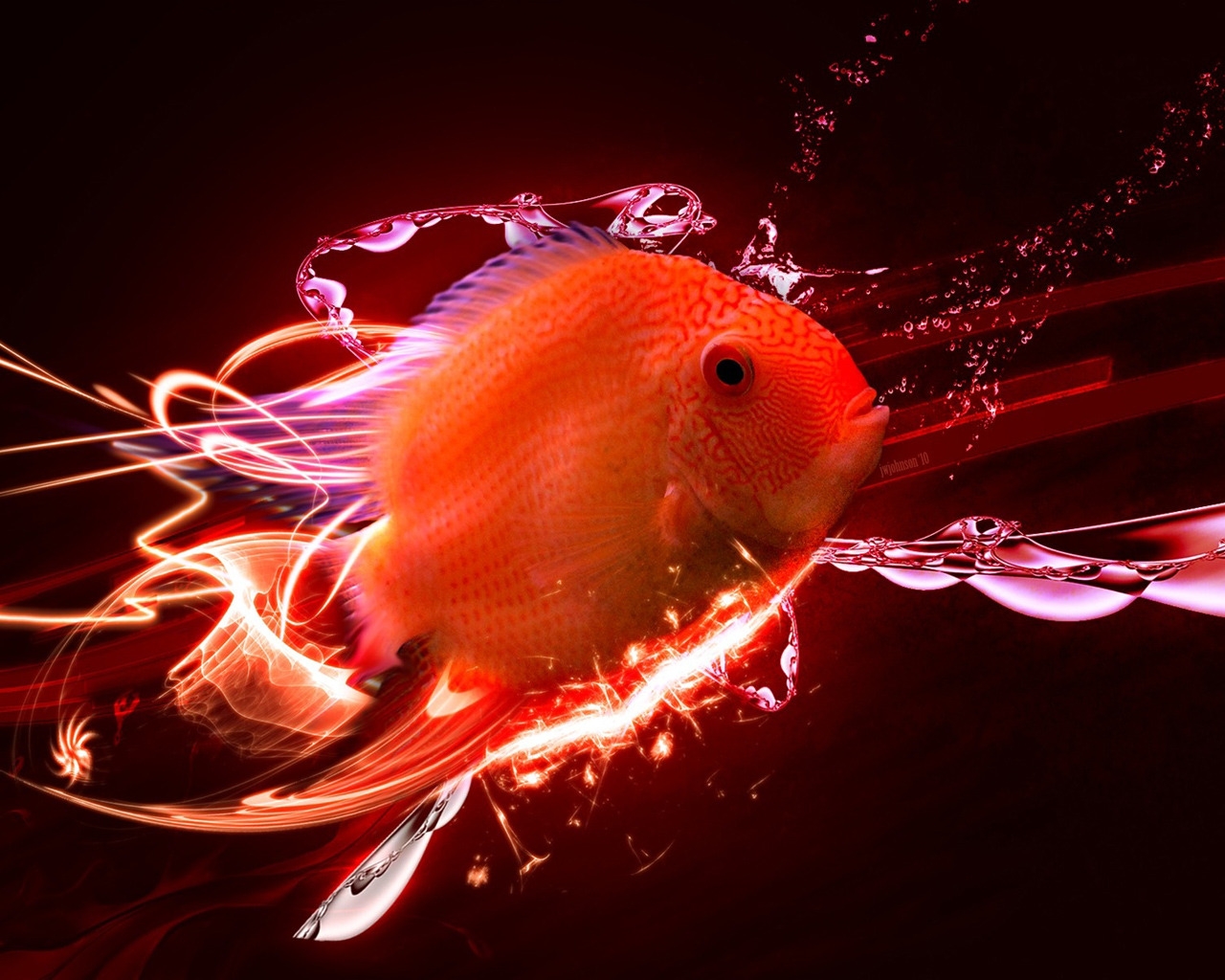 Red fish for 1280 x 1024 resolution