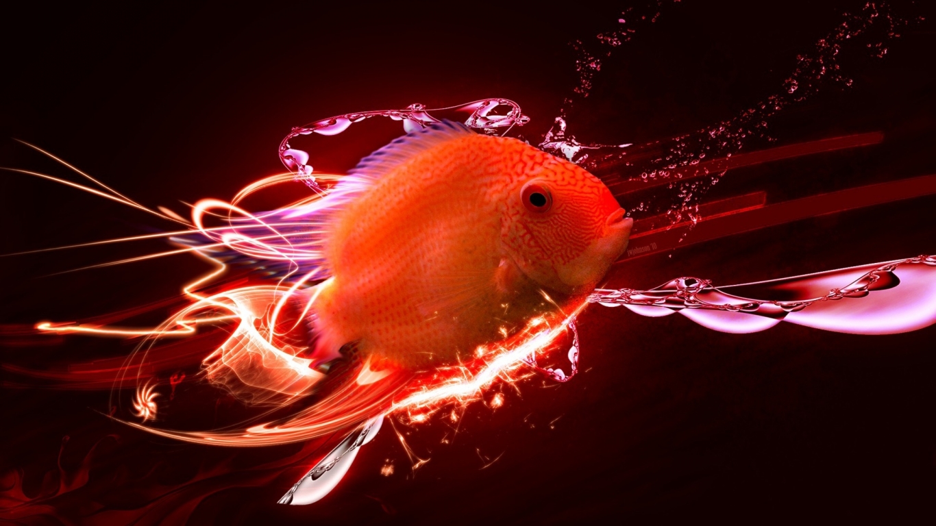 Red fish for 1366 x 768 HDTV resolution