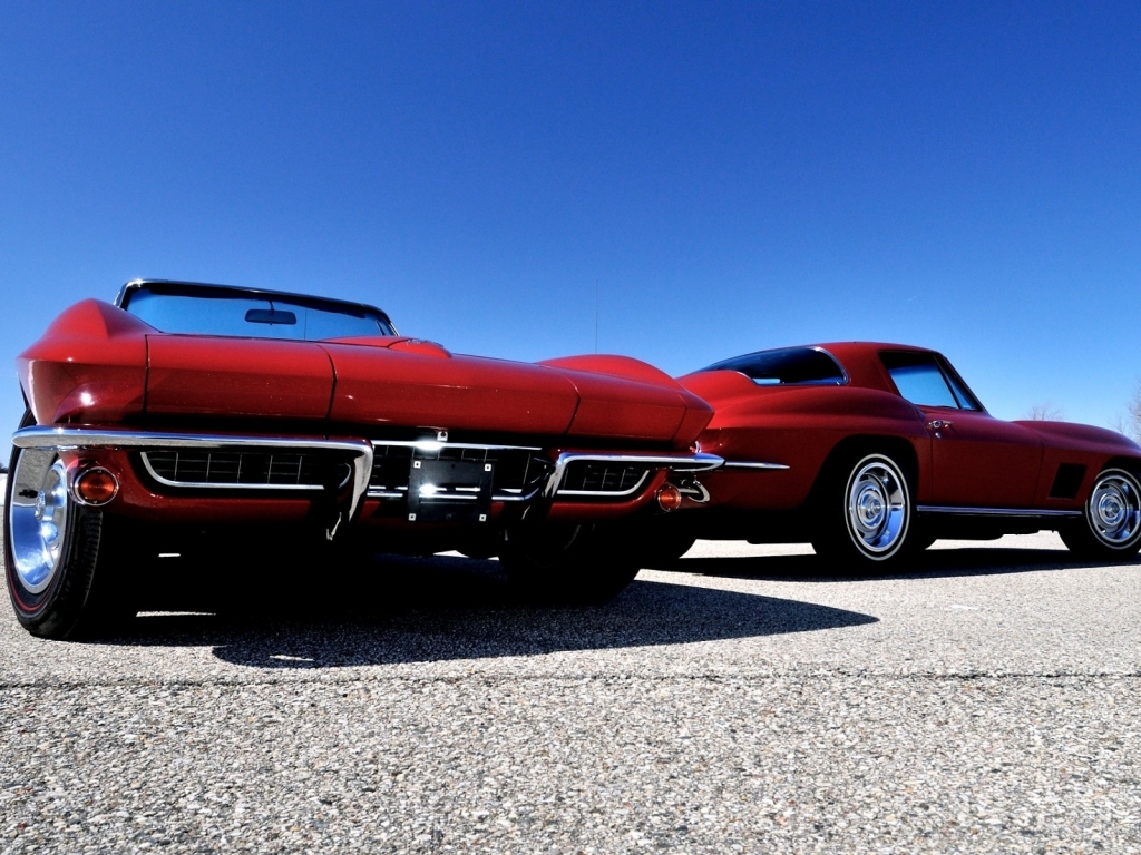 Red Gorgeous Chevrolet Corvette for 1024 x 768 resolution