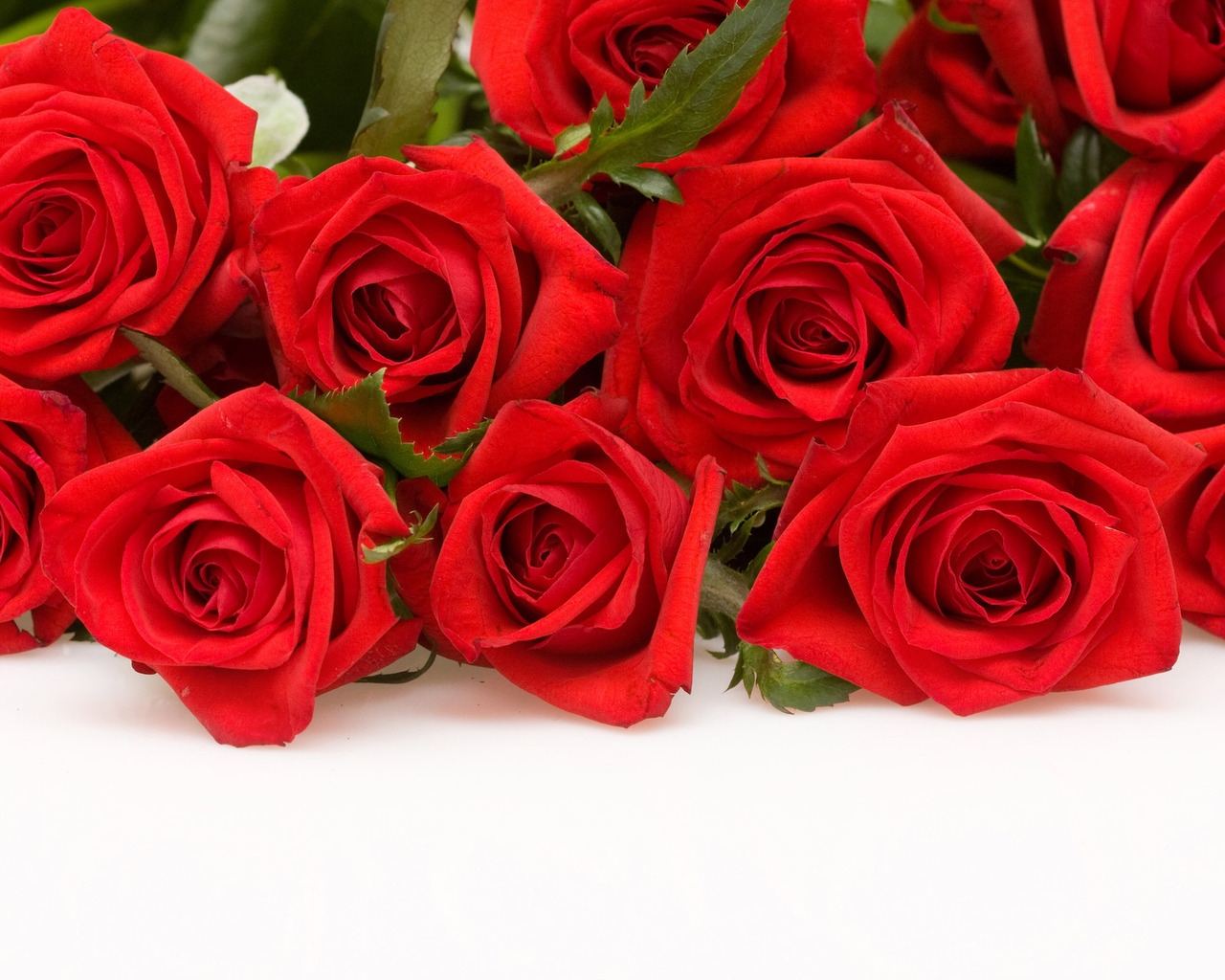 Red Roses for 1280 x 1024 resolution
