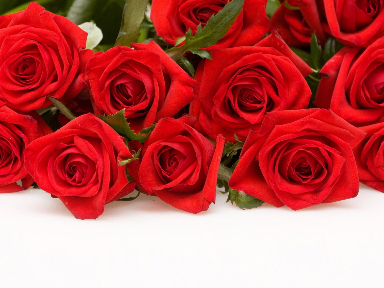 Red Roses for 1280 x 960 resolution