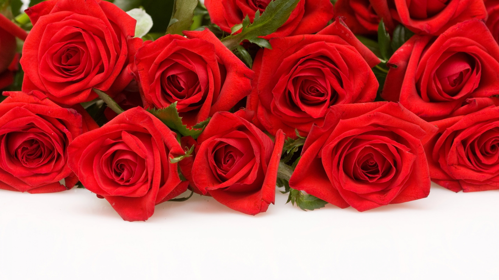 Red Roses for 1920 x 1080 HDTV 1080p resolution