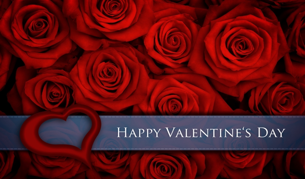 Red Roses for Valentines Day for 1024 x 600 widescreen resolution