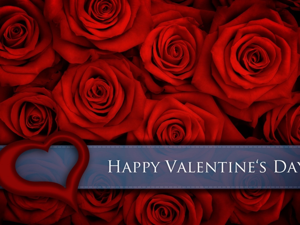 Red Roses for Valentines Day for 1024 x 768 resolution