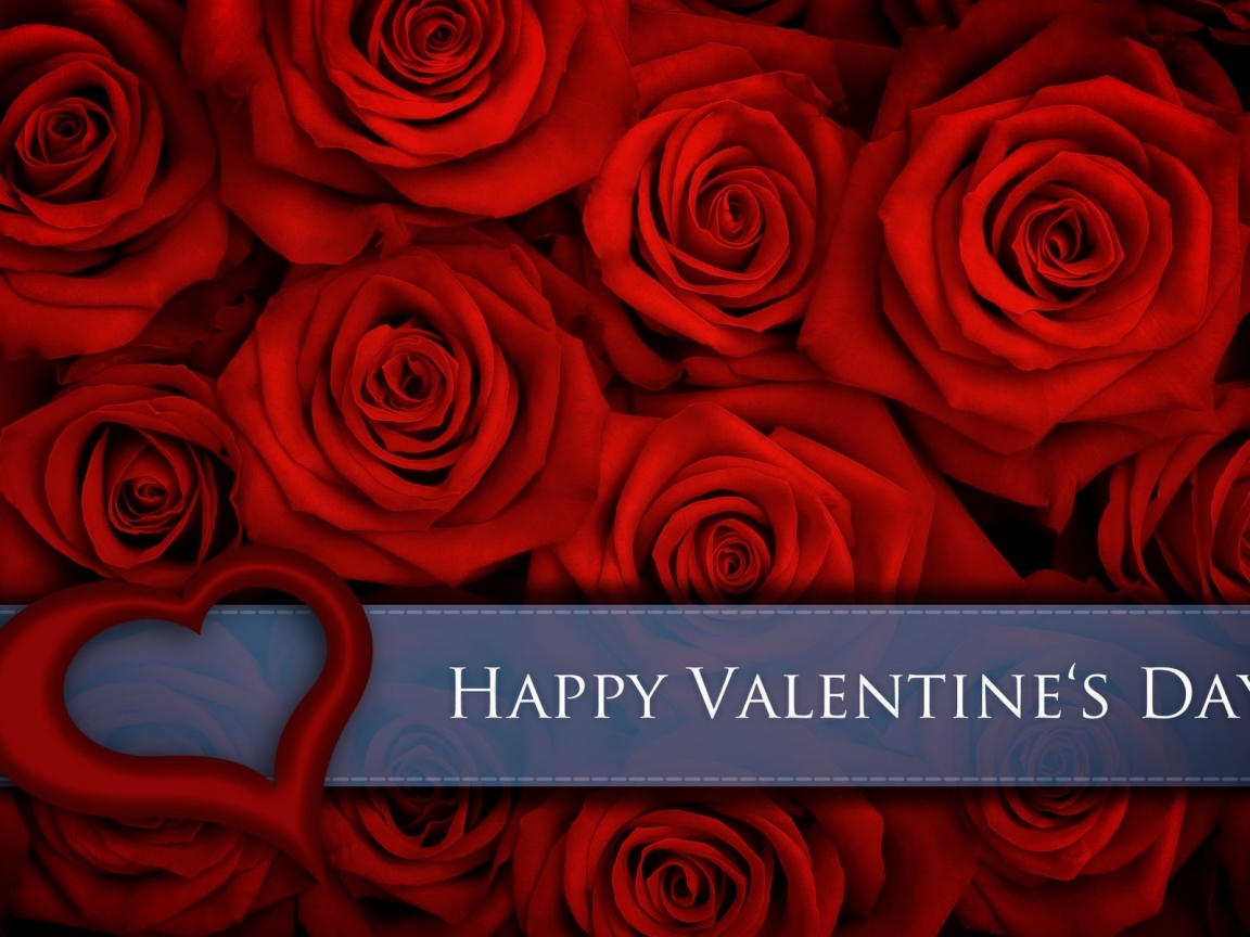 Red Roses for Valentines Day for 1152 x 864 resolution