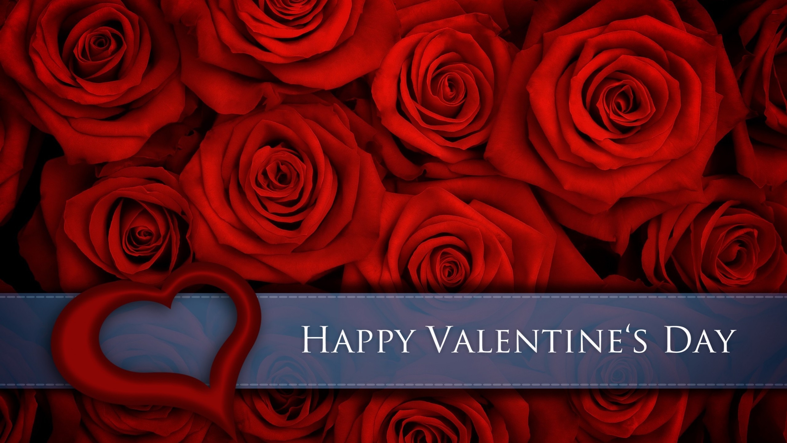 Red Roses for Valentines Day for 2560x1440 HDTV resolution