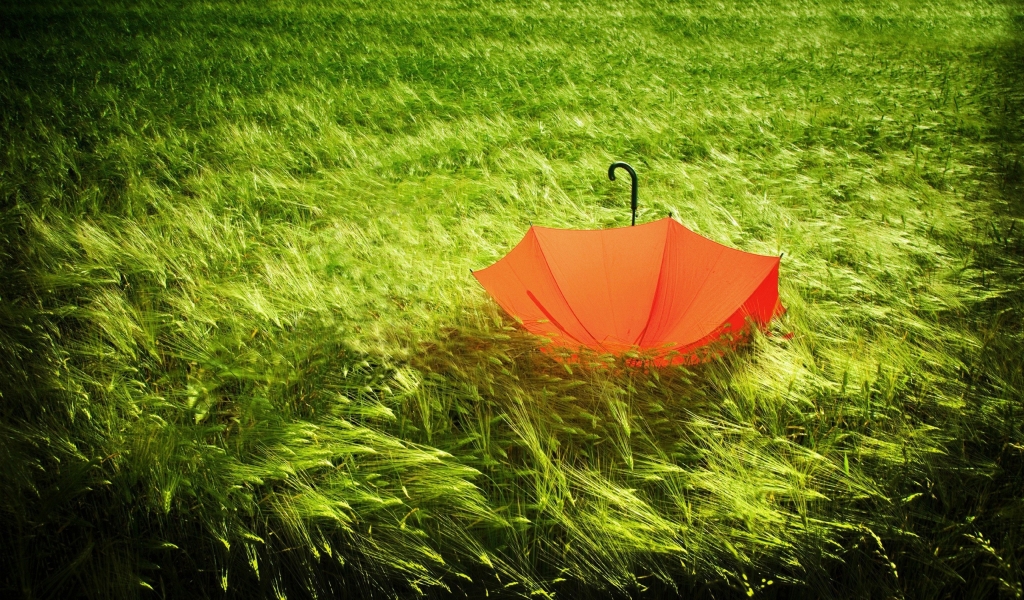 Red Umbrella for 1024 x 600 widescreen resolution