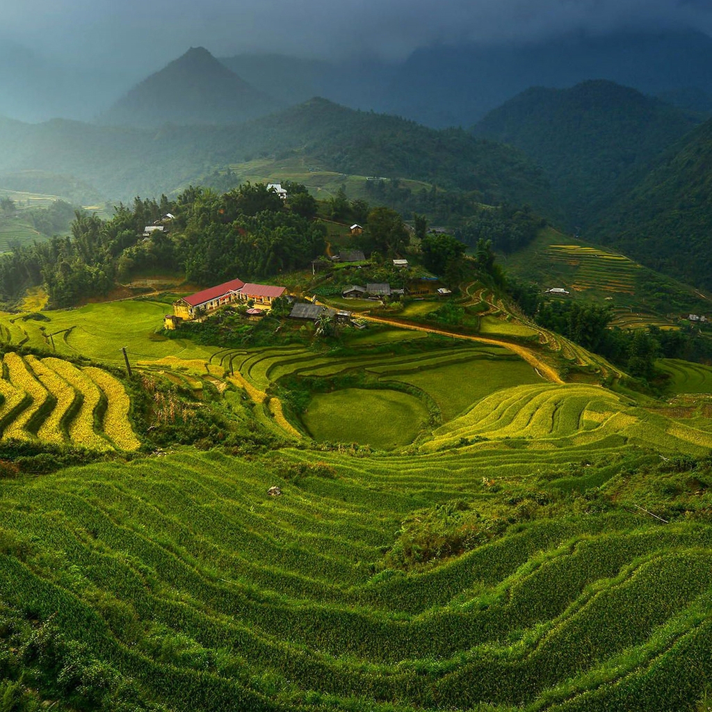 Rice Terraces in Vietnam for 1024 x 1024 iPad resolution