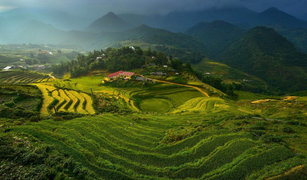 Rice Terraces in Vietnam for 1024 x 600 widescreen resolution