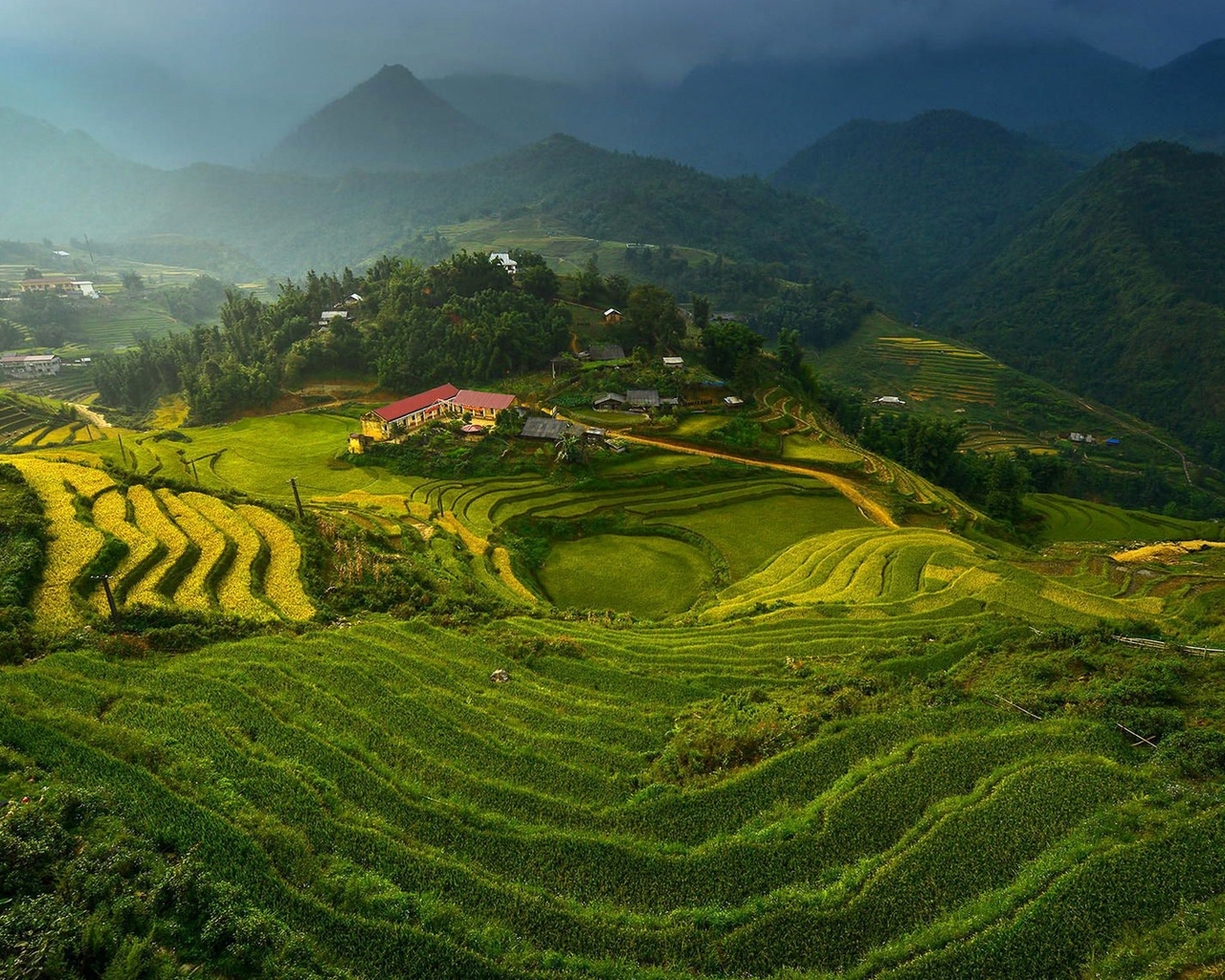 Rice Terraces in Vietnam for 1280 x 1024 resolution