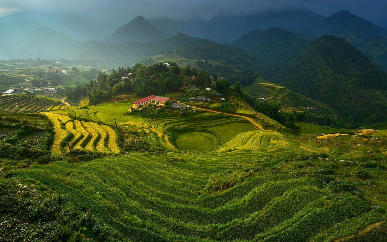 Rice Terraces in Vietnam for 1280 x 800 widescreen resolution