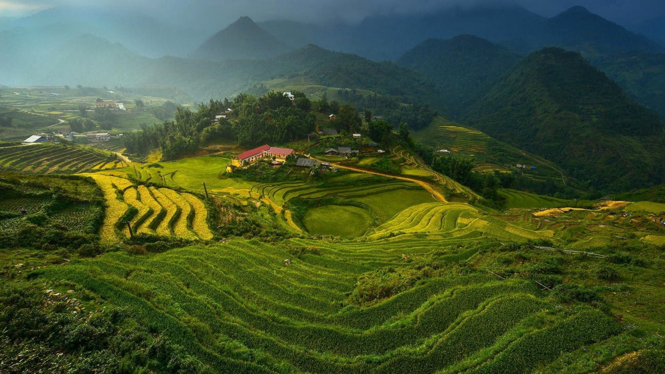 Rice Terraces in Vietnam for 1366 x 768 HDTV resolution