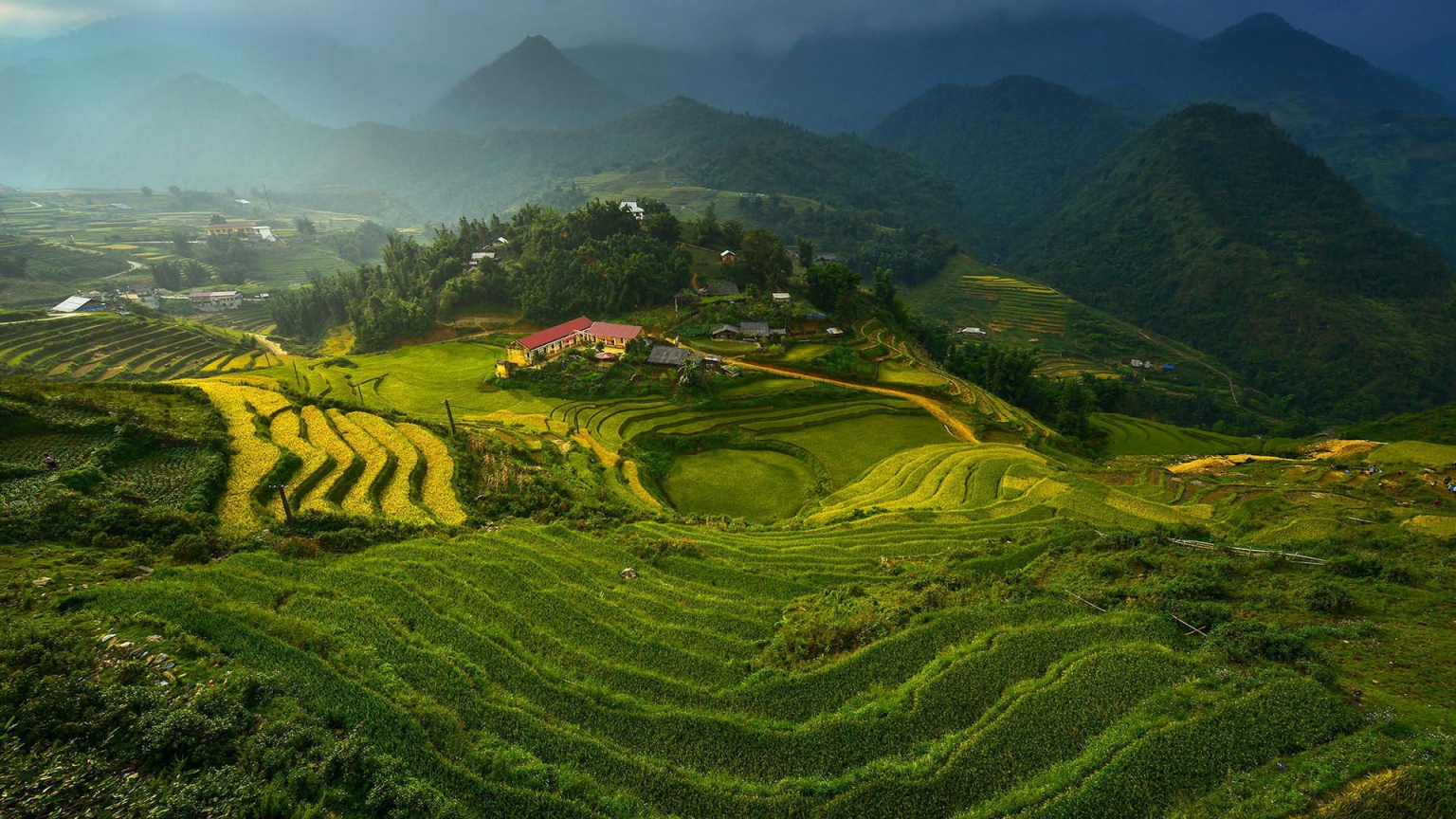 Rice Terraces in Vietnam for 1536 x 864 HDTV resolution