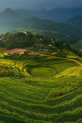 Rice Terraces in Vietnam for 320 x 480 iPhone resolution